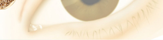 ���տ���ҕ·�۱����N