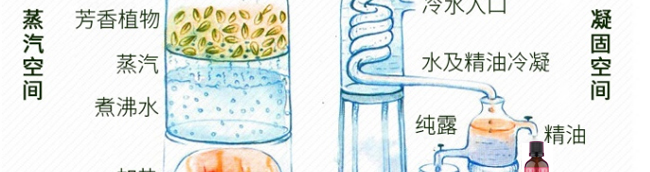 �����_��侫��