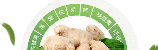 ���������Ͻ�