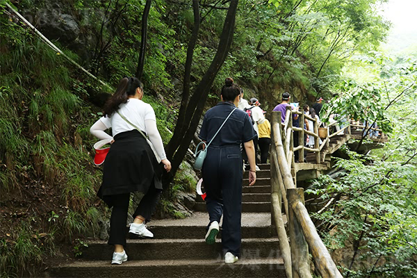 �I(l��ng)�ԇ�(gu��)�W(xu��)֮�������������ǻ�