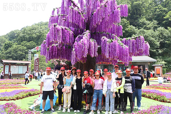 ���h�F�@�Ͼ�ɽ���y�������֮��