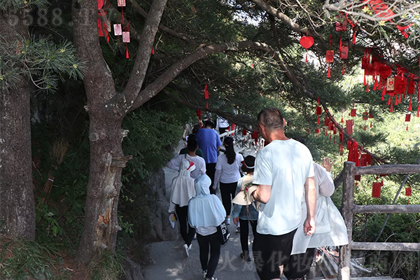 ���g�ɾ������W(xu��)֮��