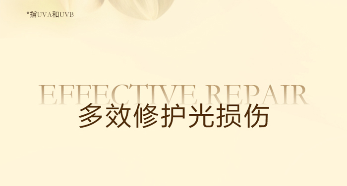 �ŭZ���ļ����o(h��)���x��-