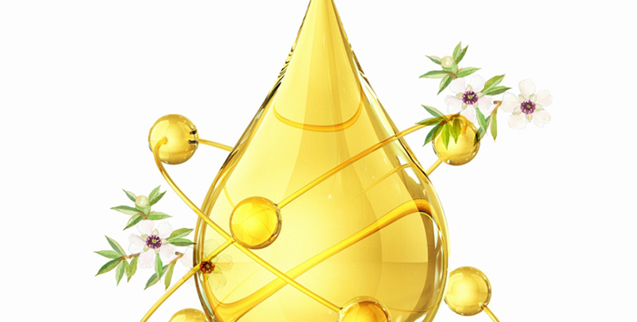 ؐ��ޱԊ(sh��)�������R�����ȡ�С���z��