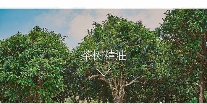 ؐ��ޱԊ(sh��)�������R�����ȡ�С���z��