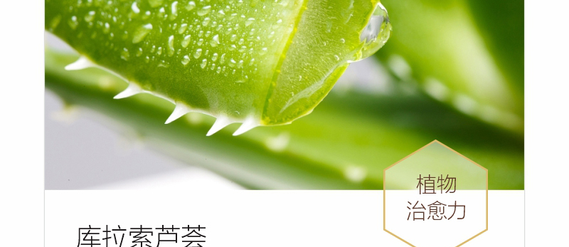 ؐ��ޱԊ(sh��)�������R����Ч�ޏ�(f��)��Ĥ