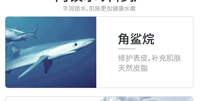 �ߵر������o(h��)˪