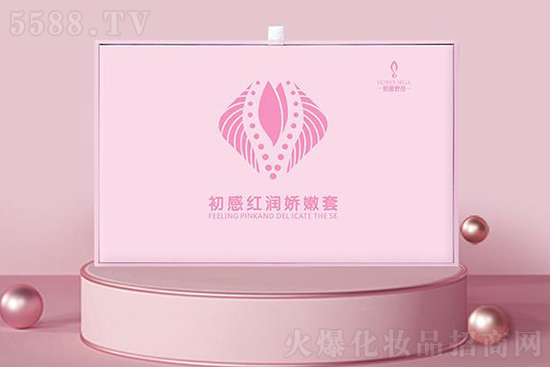 �������ѳ��мt��(r��n)������