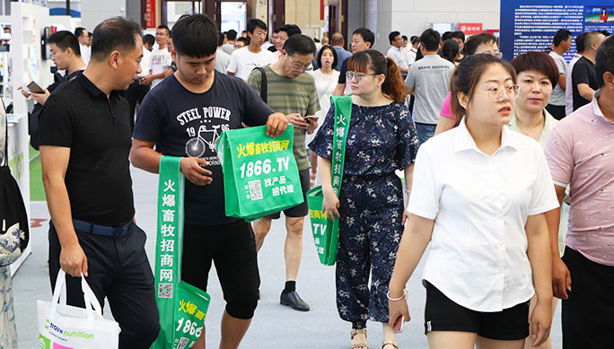 չ��(hu��)����