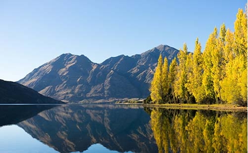 湖南大山水質生態(tài)修復項目