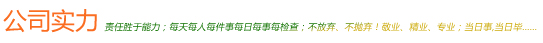 公司實(shí)力