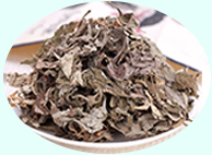 ����Ʒϵ��