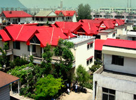 ������_������(d��n)�Įa(ch��n)ƷЧ����ô�k��