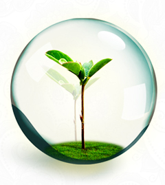 ������_�Y�|(zh��)�J(r��n)�C